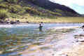 In pesca