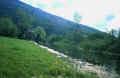 Parte alta