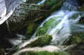 Acqua