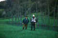 A valle del secondo ponte