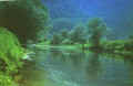 Klokot8.JPG (49433 byte)