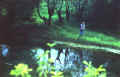 Klokot9.JPG (59540 byte)