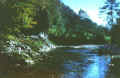 Treb8.JPG (74786 byte)