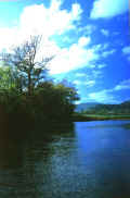 U-11.JPG (53634 byte)