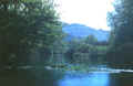 U-16.JPG (76627 byte)
