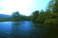 U-21.JPG (92708 byte)