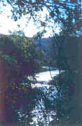 U-8.JPG (75780 byte)