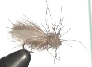 ...e le sue "creature"