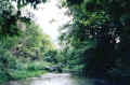 nera6.jpg (39760 byte)