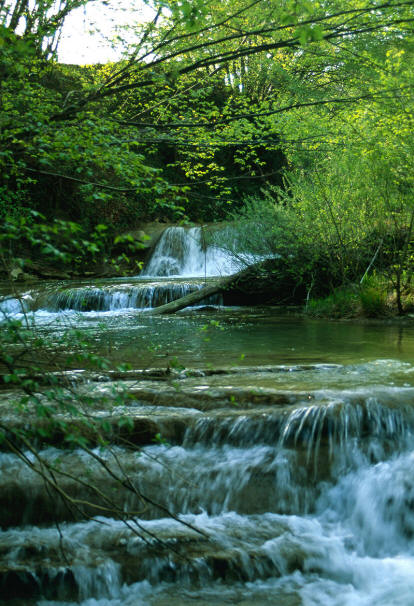 Torrente Borello