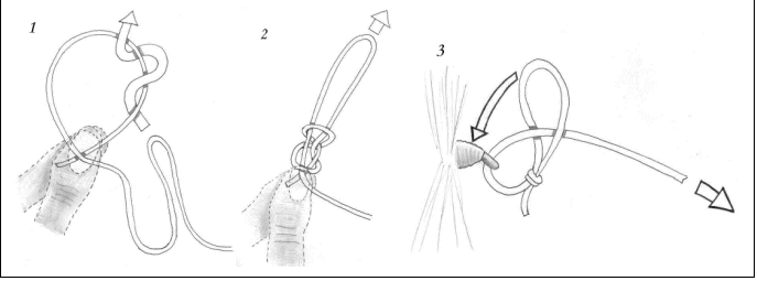 Casella di testo:    