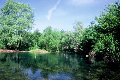 Fiume Sanica