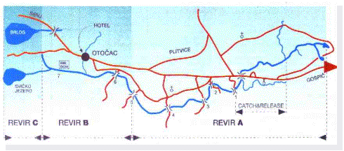Casella di testo: