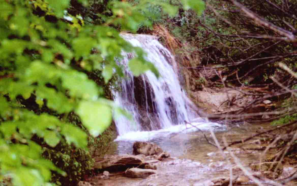 Rio Greppa