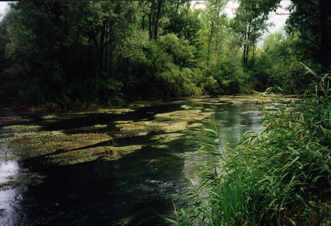 Rivoli di Osoppo (foto di Gelli S.)