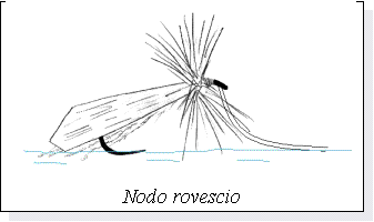 Casella di testo:  Nodo rovescio