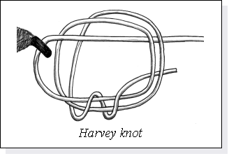 Casella di testo:  
Harvey knot
