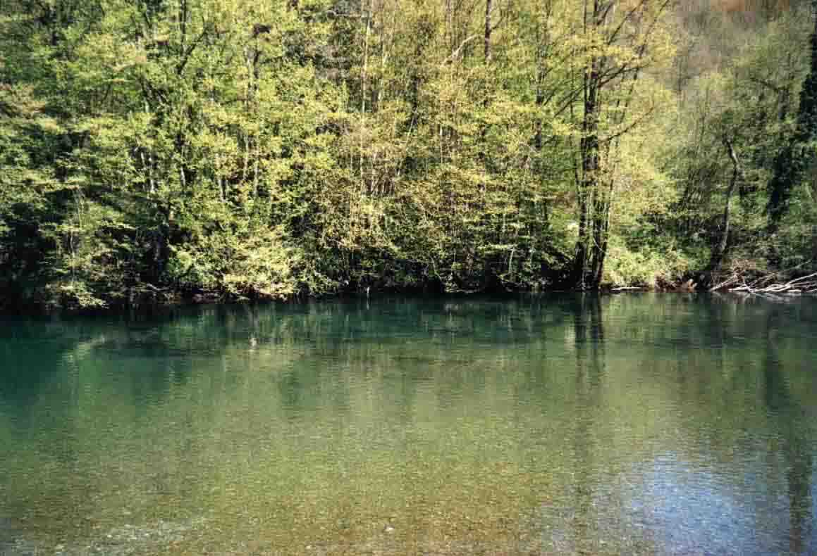 Kupa: vaste lame di acqua lenta e trasparente richiedono un cauto approccio.