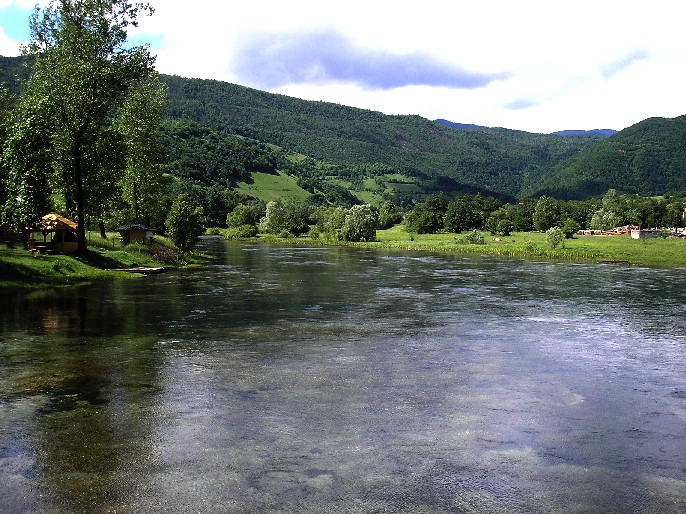 Pliva