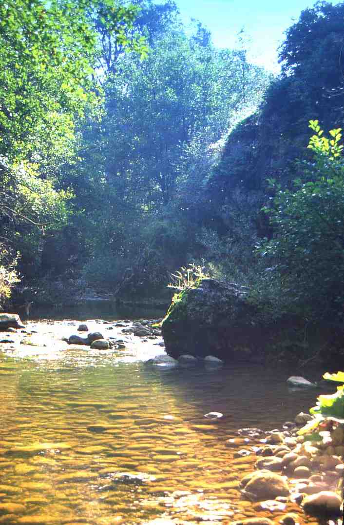Torrente Vandra